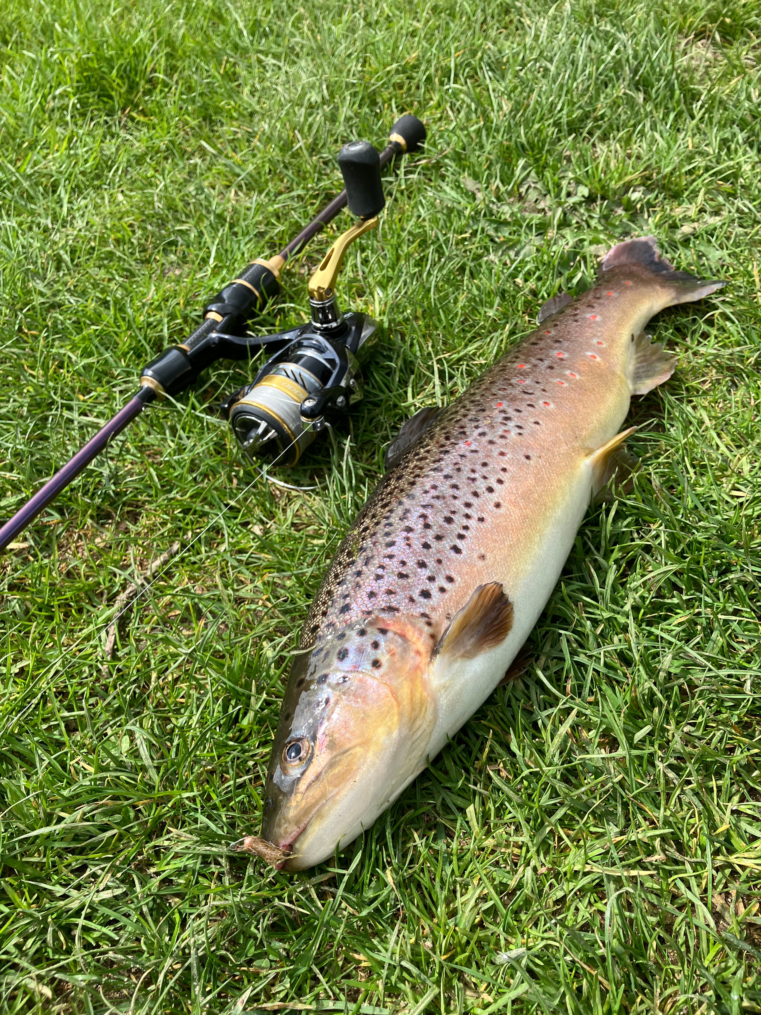 Gogo-Fishing-Tackle.de
