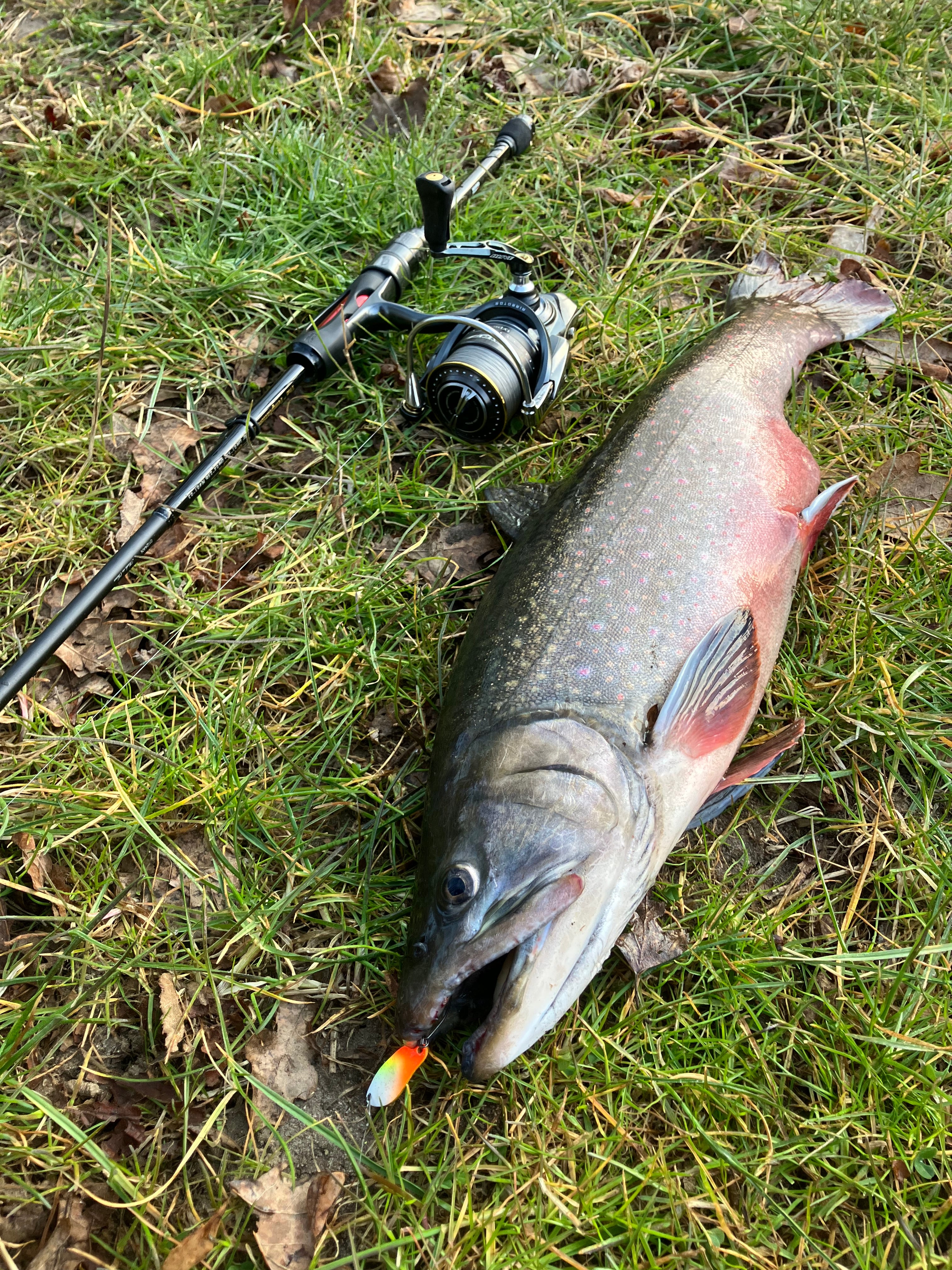 Gogo-Fishing-Tackle.de