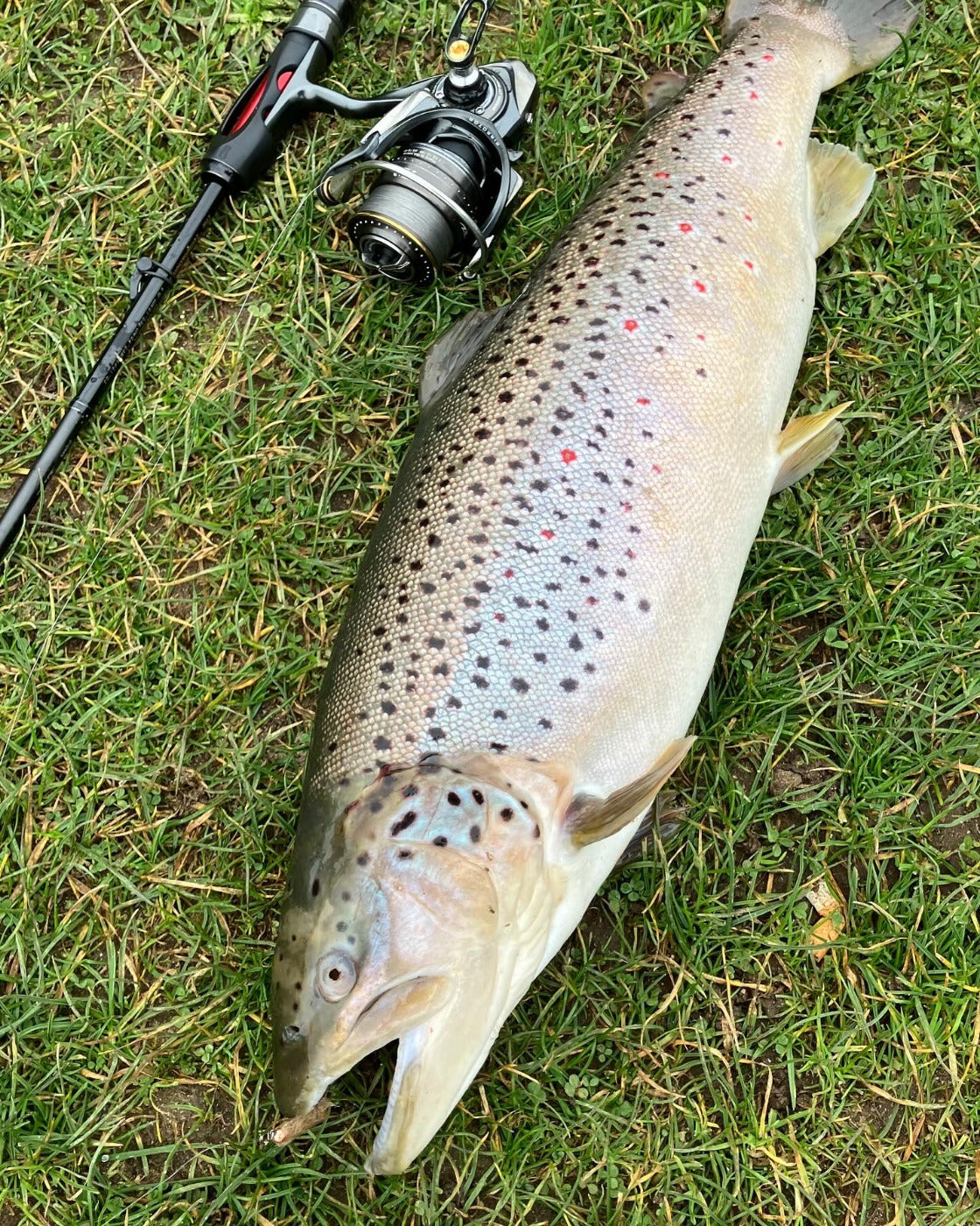 Gogo-Fishing-Tackle.de
